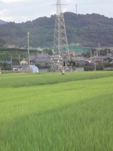 run0807-2.JPG