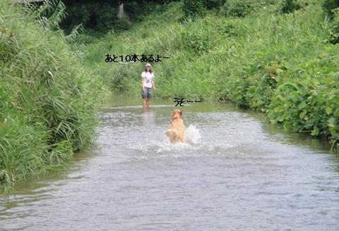 run0809-6.JPG