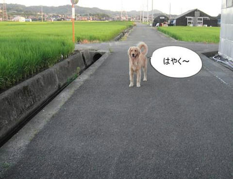 run0811-2.JPG