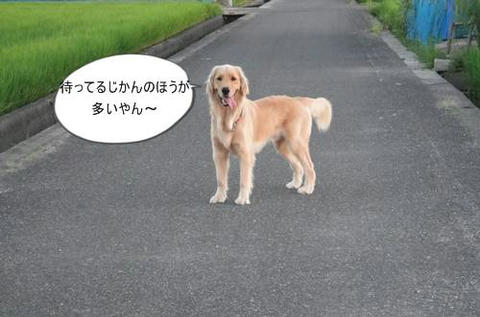 run0811-4.JPG