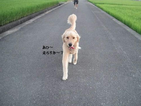run0811-8.JPG