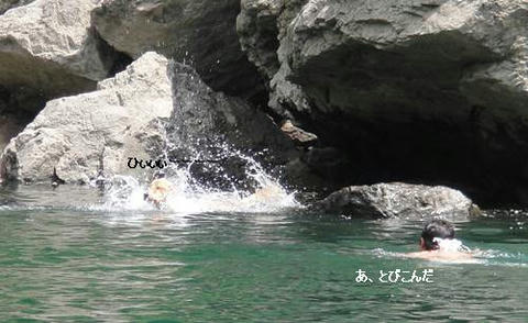 run0817-38.JPG