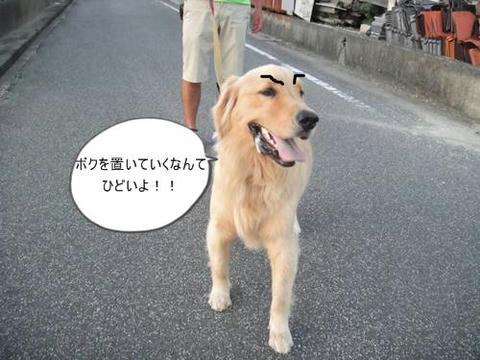 run0911-8.JPG
