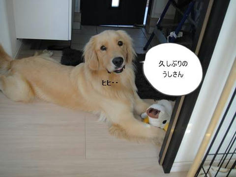 run1001.JPG