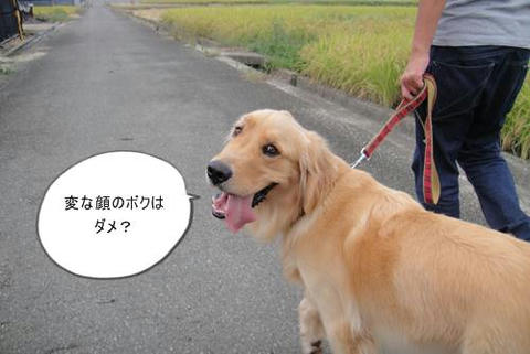 run1003-12.JPG