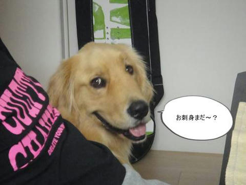 run1013-3.JPG