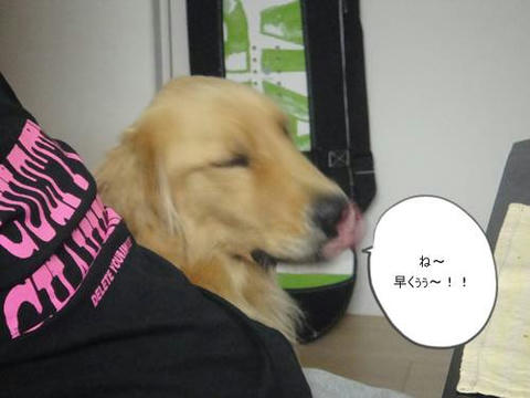 run1013-5.JPG