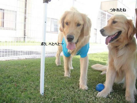 run1017-10.JPG
