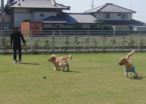 run1017-11.JPG