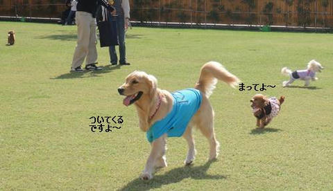 run1017-12.JPG