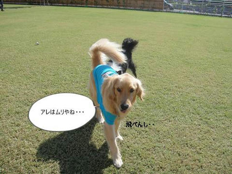 run1017-21.JPG