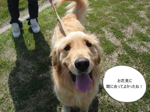 run20110412-4.JPG