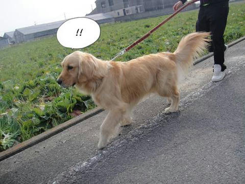 run20110418-2.JPG