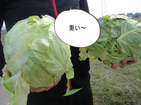 run20110418-3.JPG
