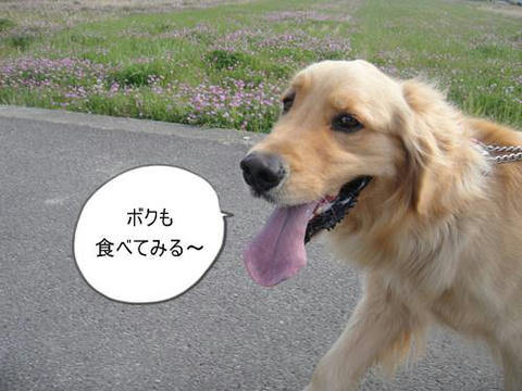 run20110418-4.JPG