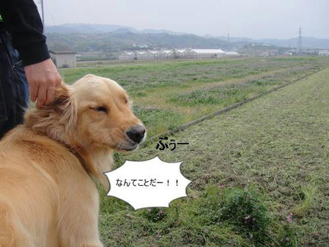 run20110421-1.JPG