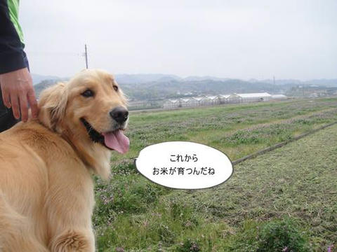 run20110421-4.JPG
