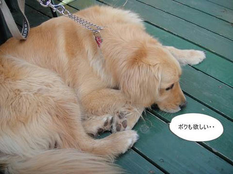 run20110426-5.JPG