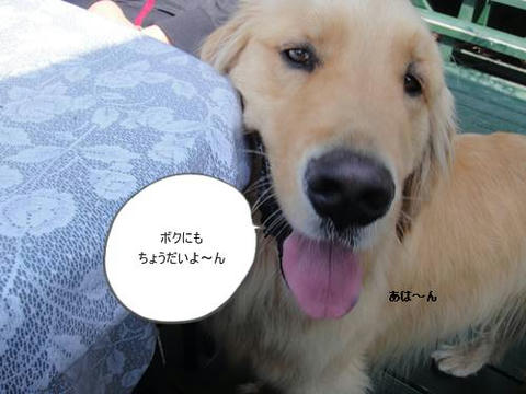 run20110426-6.JPG