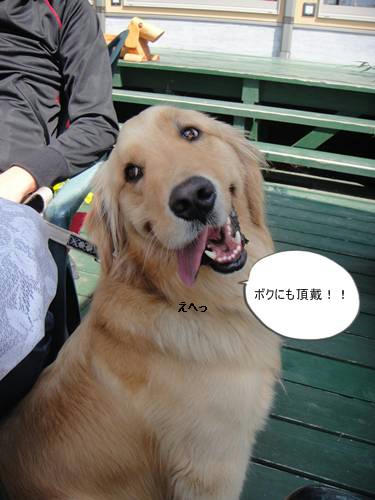 run20110426-7.JPG