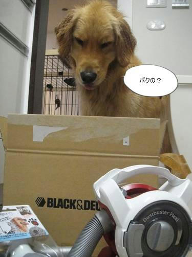 run20110427-2.JPG