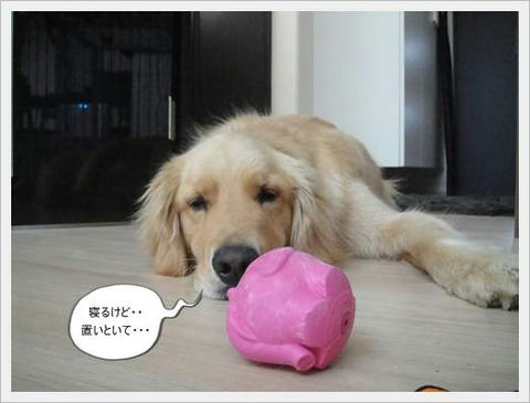 run20110501-6.JPG