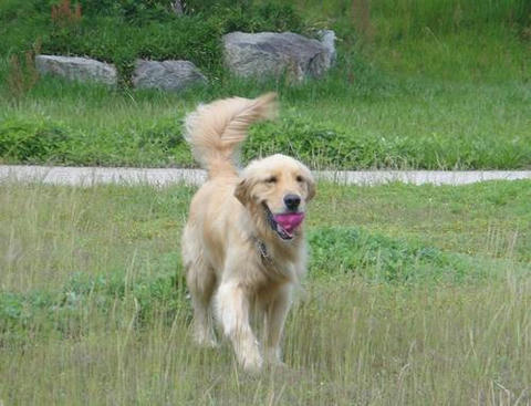 run20110502-1.JPG