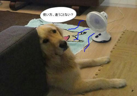 run20110509-2.JPG