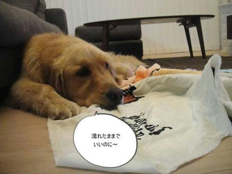 run20110509-3.JPG