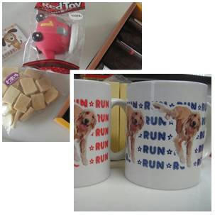 run20110517-12.jpg