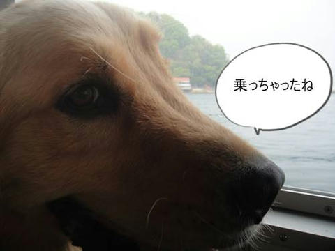 run20110518-7.JPG
