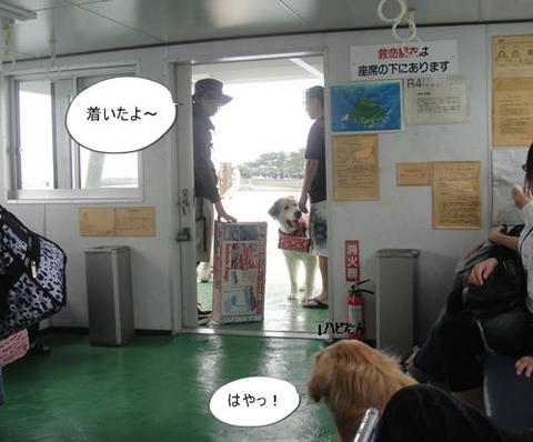 run20110518-9.JPG