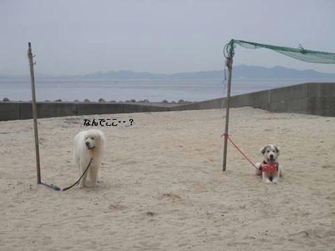 run20110519-1.JPG