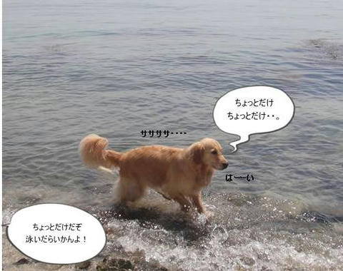 run20110519-11.JPG