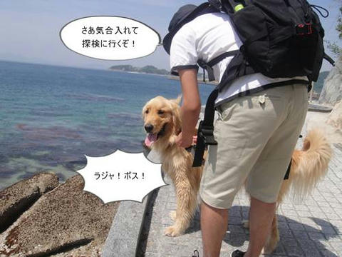 run20110520-1.JPG