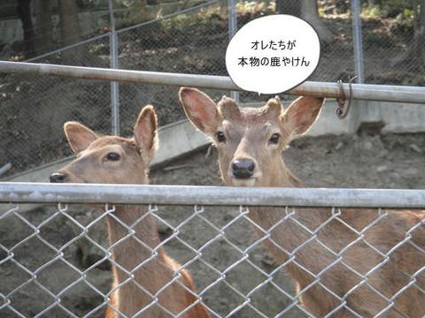 run20110520-9.JPG