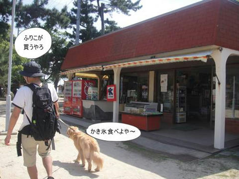 run20110520-10.JPG
