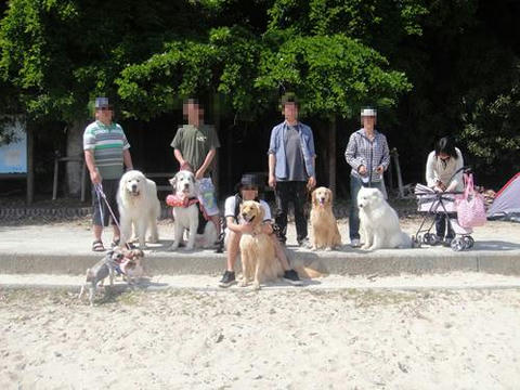run20110520-11.JPG