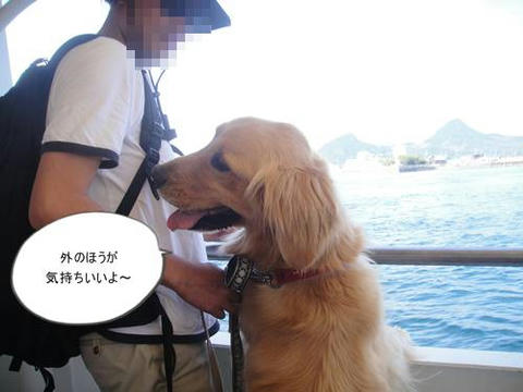 run20110520-13.JPG