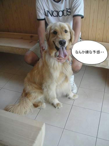 run20110521-1.JPG