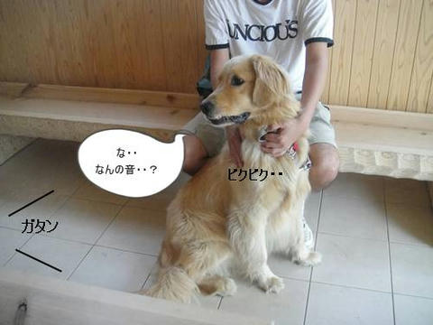 run20110521-2.JPG
