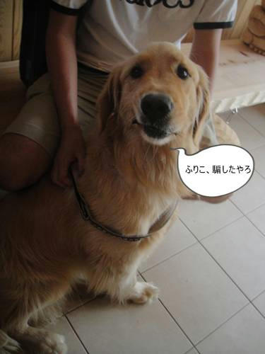run20110521-5.JPG