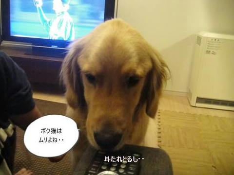 run20110522-4.JPG