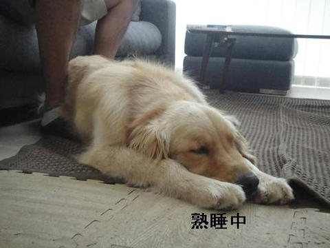 run20110525-4.JPG