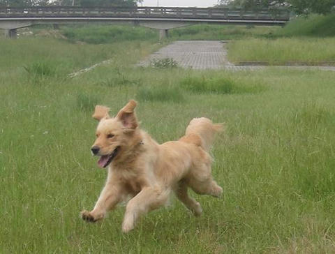 run20110526-1.JPG