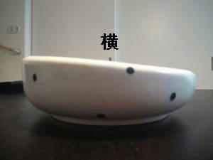run20110528-9.JPG