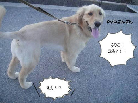 run20110530-1.JPG