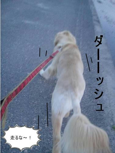 run20110530-2.JPG