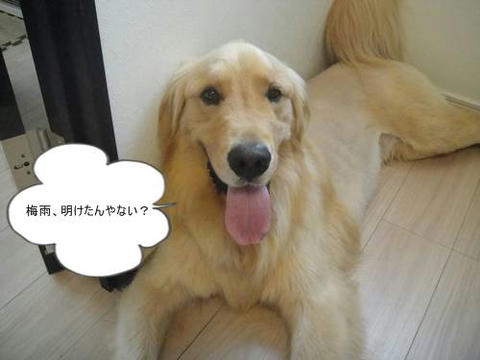 run20110601-2.JPG