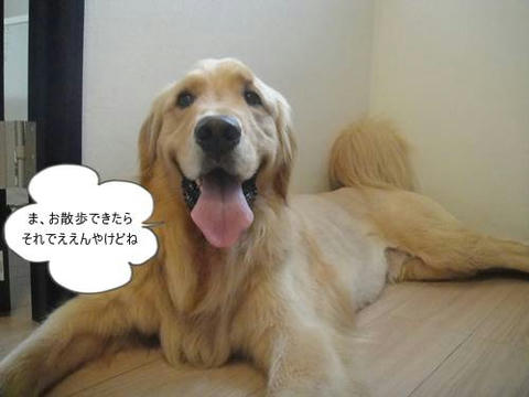 run20110601-3.JPG